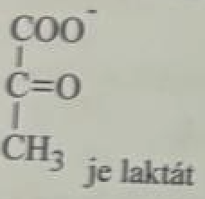 Vizuálna súčasť